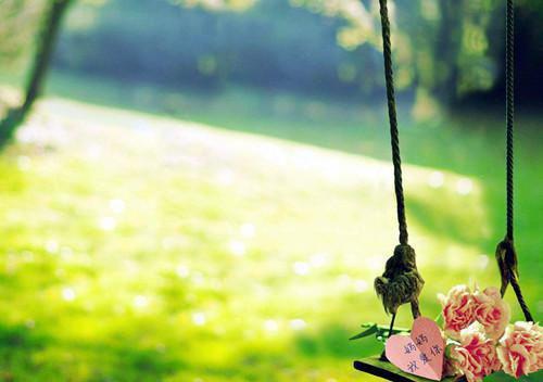 祝佳虞最新章节更新状态 别墅火灾救狗,陌生女人扇我巴掌小说正版免费阅读