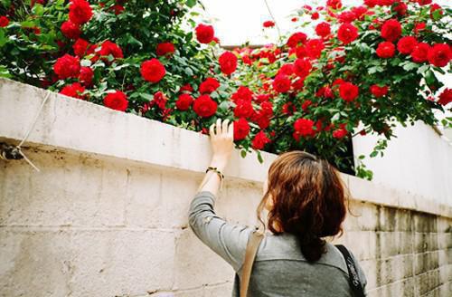 (番外)+(全文)陆温杳霍祁钺全文(陆温杳霍祁钺)全文免费阅读无弹窗大结局_(陆温杳霍祁钺全文)最新章节列表_笔趣阁(陆温杳霍祁钺)