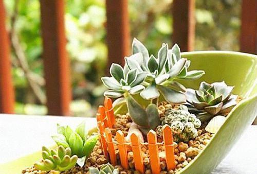 沈言曦免费阅读最新章节 曾有曦光映山河知乎沈言曦