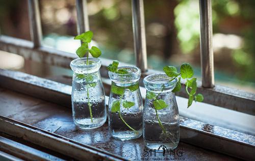 江珈叶封迹谢芷晴笔趣阁 十年星光:封迹江迦叶小说江珈叶封迹谢芷晴