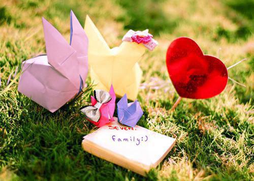 谢芷蕊林承阳小说免费阅读 谢芷蕊林承阳全文最新更新内容