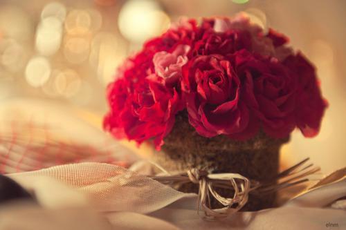 赵津屿傅意欢笔趣阁 傅意欢赵津屿最新章节更新