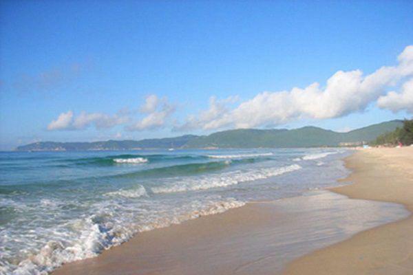 苏枕雪谢行知谢寂明免费阅读最新章节结局 分手后我嫁给了前任他叔小说免费阅读全文最新章节