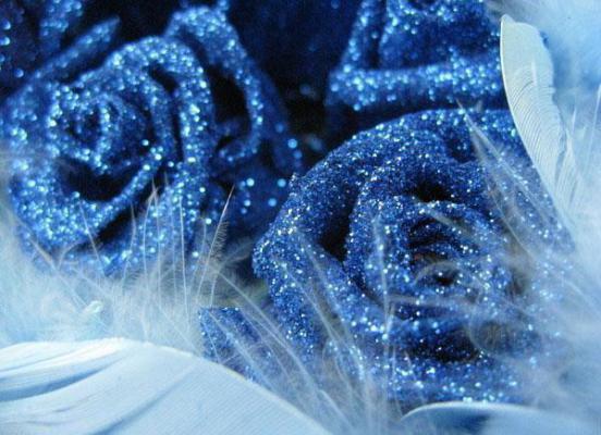 (番外)+(全文)沈歆宁周屿（沈歆宁周屿：+后续+结局）完结阅读无弹窗大结局_(沈歆宁周屿)最新章节列表_笔趣阁（沈歆宁周屿：+后续+结局）