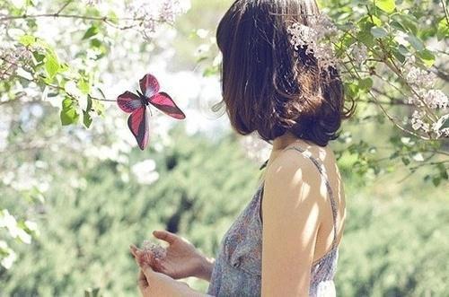 临安斐玄宋思瑶笔趣阁 钗头凤小说最新章节列表