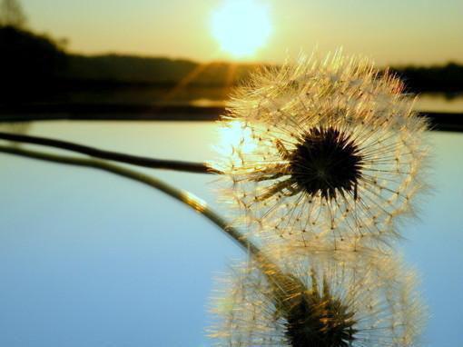 沈宴周晴林眠大结局后续 我死后，成了男友手机里的小爱同学全文阅读