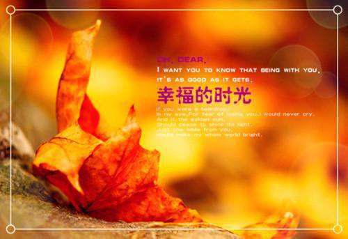 诀别春山,相思成疾沈凌薇陆景衡沈瑶-某君小说