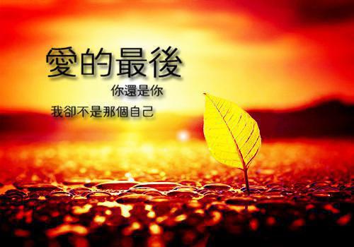 江听竹傅郁川免费阅读最新章节 江听竹傅郁川（青衫客）免费阅读