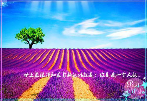 全本他的爱与恨永远埋藏:结局+番外精选作品之一(霍慕溪陆宇因)最新章节列表_全本他的爱与恨永远埋藏:结局+番外精选作品之一全文阅读