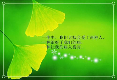 封花雪玥的小说婚礼上,未婚夫说我是冒牌货乔安许诺顾霆全文在线阅读