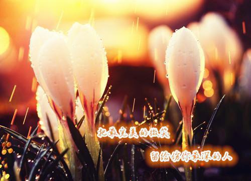 杨季舟舒秀美小说免费阅读最新章节 发现劳模老婆南北都有家后，我让她连滚带爬全文免费阅读