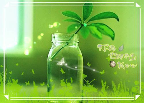 乔晚宁霍商蔚蓝的小说叫什么 前度全文最新更新内容