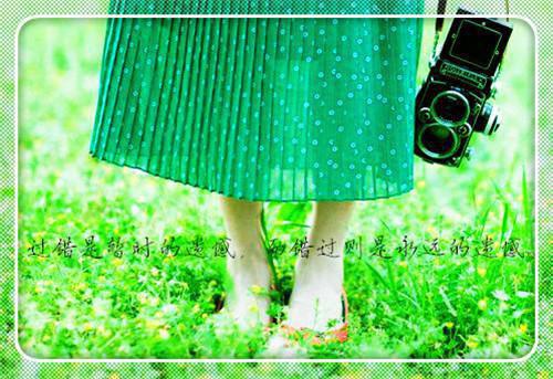 沈知微陆野小说名 时光白首错流年在线阅读