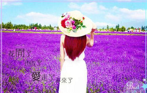 林远李强王芳什么关系 举报我赚取黑心钱后她悔疯了知乎小说