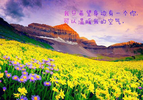 温琪陈韵瑾笔趣阁免费阅读 谁私吞了我的五百万奖金小说温琪陈韵瑾免费阅读