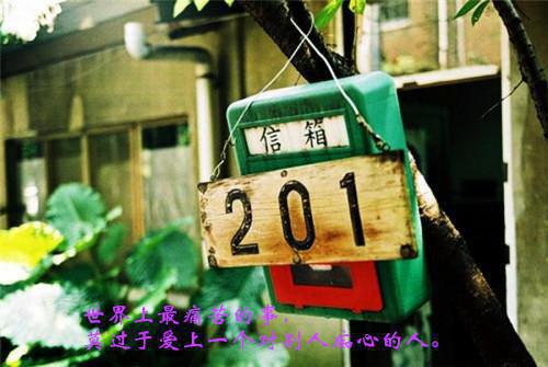 杜芸月裴珩杜青瑶免费阅读 裴珩杜芸月免费阅读