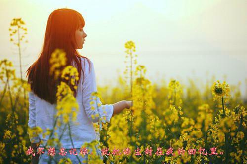 谭雨莉何容鸣小说免费阅读最新章节 谭雨莉何容鸣最新章节免费阅读