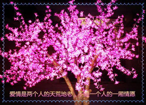 姜瑜琼裴烬原姜杳杳和谁在一起了 姜瑜琼裴烬原原著在线阅读