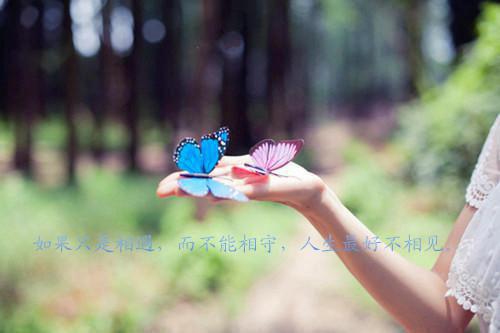 周青竹周昊周子航周诗涵小说免费阅读 我的女儿变成了儿子最新章节更新