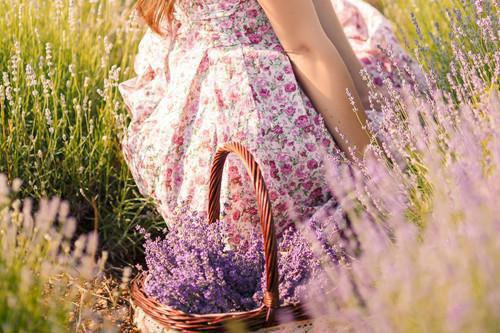 迟夏陆砚深叫什么小说 念念不忘，必有回响笔趣阁最新章节