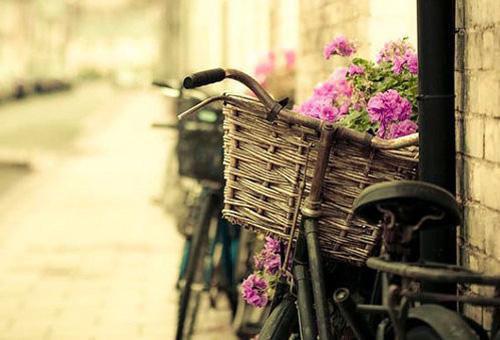 江乐言陆皓晨陆语瑶小说叫什么名字 分手后前任后悔了小说江乐言陆皓晨陆语瑶