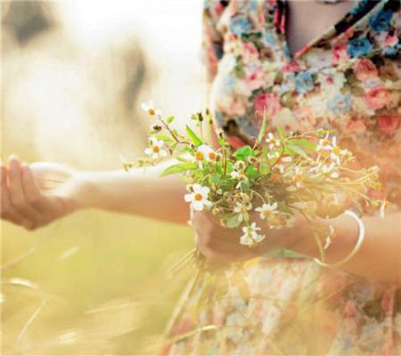 沈怜姝秦屿什么关系 沈怜姝秦屿小说沈怜姝秦屿免费阅读全文