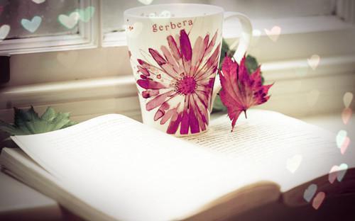 苏玉龄叶池圭苏青瑶最新章节列表 叶池圭苏玉龄知乎小说