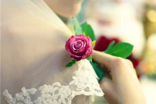 舒佳翟洲周茜的最新章节更新时间 竹马误青梅在线阅读