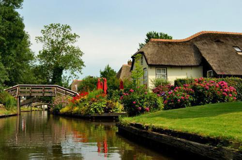 温以宁谢听晚穆怀安段止最新章节内容 重生后,我不再为毁掉百亿冻精的老公青梅兜底:后续小说正版免费阅读