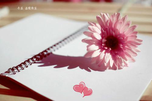 池鸢沈煜祁明远小说免费阅读全文 剪半程月光：后续by扑街