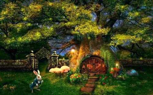 苏淼辛野免费阅读最新章节 雪落无声时免费阅读小说