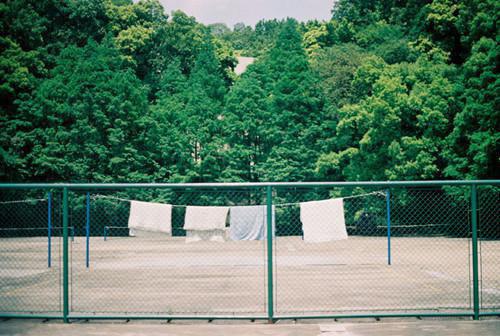 已无风月也无你林念温沈榆北小说推荐完本_热门小说大全已无风月也无你(林念温沈榆北)阅读