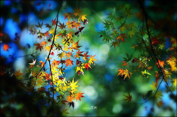 价值八十万的全班旅游被取消后，学生闹疯了蒋老师林瑶张明免费小说笔趣阁_价值八十万的全班旅游被取消后，学生闹疯了蒋老师林瑶张明完结小说免费阅读