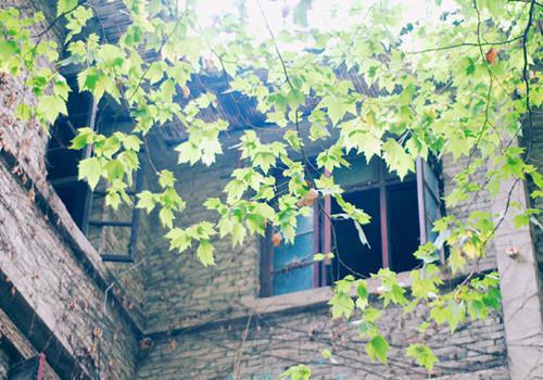 宋临巍苏婉怡小说 宋临巍苏婉怡宋临巍苏婉怡小说