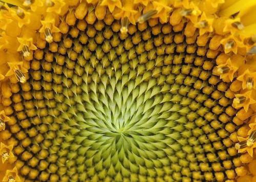 肖筱肖筱的哥哥什么关系 我妈用邪术借我脑子替混子哥哥考清北免费阅读全文