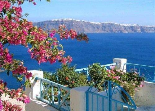 沈清欢是哪部小说 破碎的芭比沈清欢小说