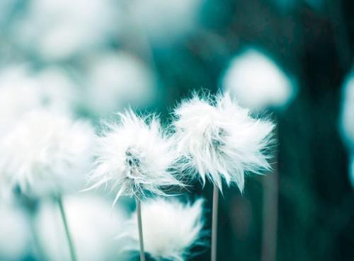 温池傅乐妤什么关系 傅乐妤温池温池傅乐妤小说