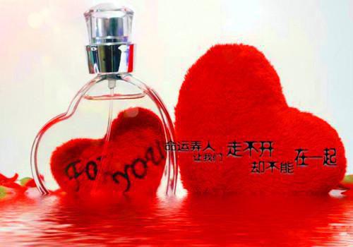 何希文陆云绍项明峥邓冉冉小说在线阅读 明月摇曳梦千重何希文陆云绍项明峥邓冉冉全文