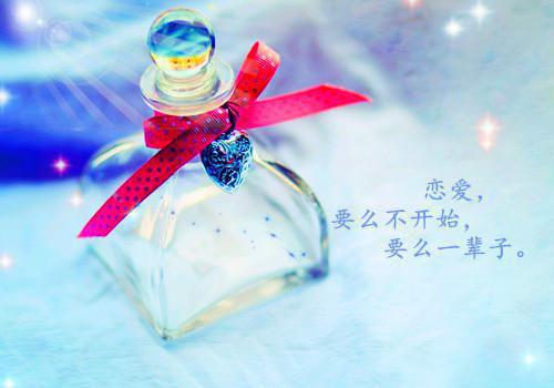 寒星不渡离人泪秦夏江临小说后续终章+特别篇（秦夏江临）在线阅读