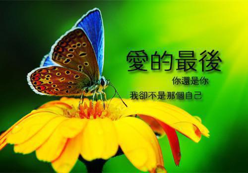 纪沐然霍叙舟夏若浅小说免费阅读 风里寻香见你笔趣阁最新章节