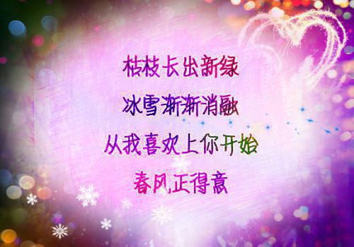 沈之念萧未辞孟南汐的小说叫什么 寒灯纸上,我等风雨又一年by某生