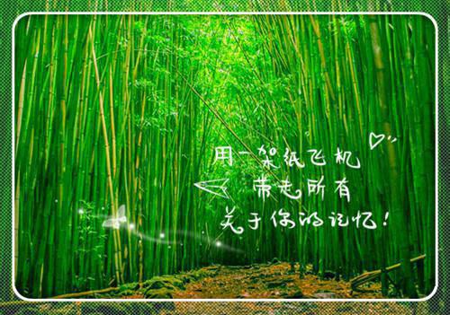 任嘉林祁越的最新章节更新时间 穿越后，第九次回家失败：番外电子书