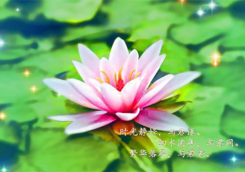 苏雨晴顾煜的小说叫什么 肚子里的女儿用心声和我雌竞：番外苏雨晴顾煜大结局