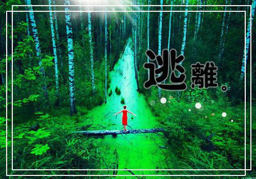 孟羽墨冯芝芝孟海棠陆震南大结局后续 我追随闺蜜而去回到自己世界后,偏爱假千金的家人悔疯了:后续小说