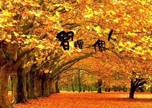 顾时苒徐浩是哪部小说 做分手专家的第三年，我接到了妻子的订单免费阅读小说