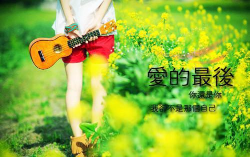 唐岁宁徐晏礼笔趣阁免费阅读 何处旧曾谙小说全文阅读