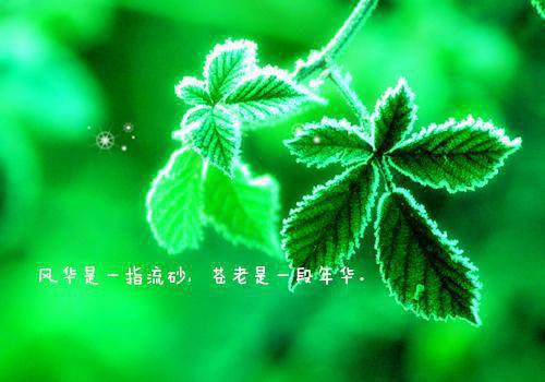 陆凝霜南宫烬夜隐免费阅读最新章节 陆凝霜南宫烬免费阅读小说