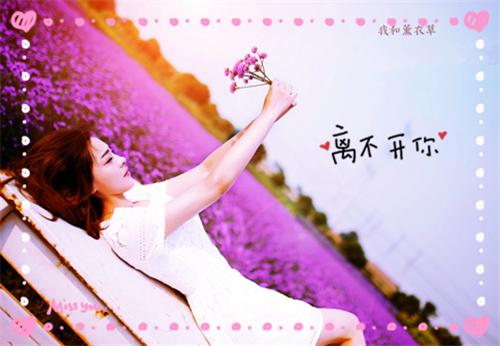 时砚璟乔青禾温屿臣小说 一别再无晨曦暮色：完整小说全文免费