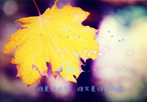 陈峰赵磊李冉最新章节内容 死去的我回来了笔趣阁最新章节列表