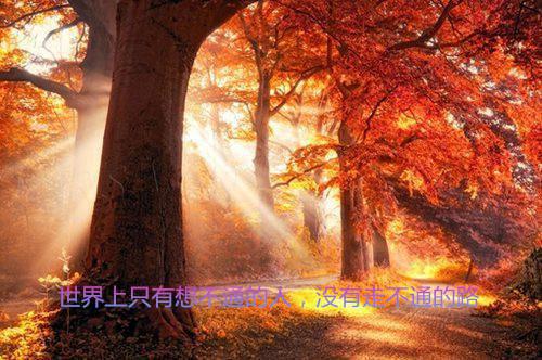 林妙妙陈检察长小说笔趣阁最新章节 女儿自杀后,我杀疯了小说免费阅读全文最新章节